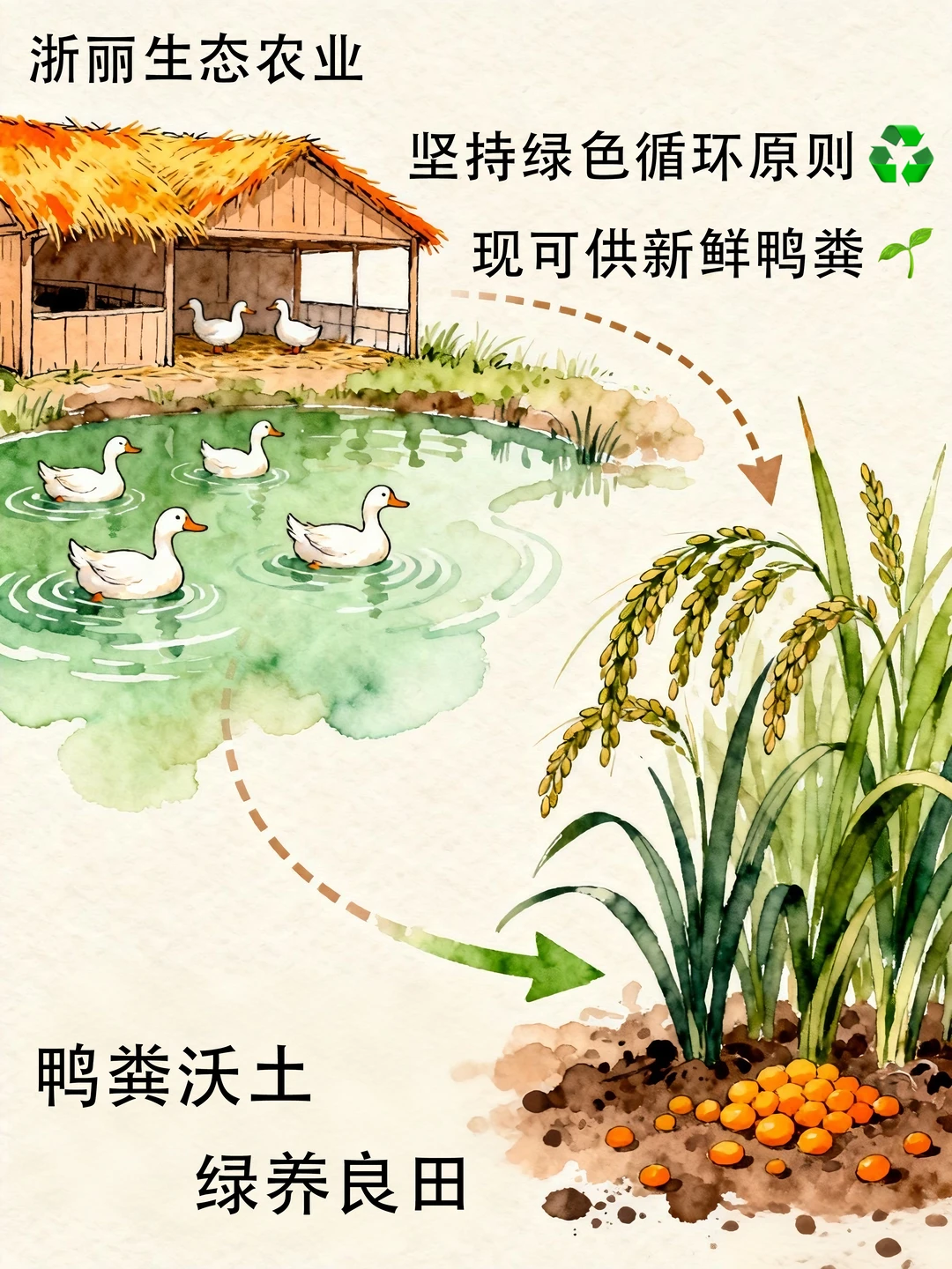 绿色循环 浙丽在行动