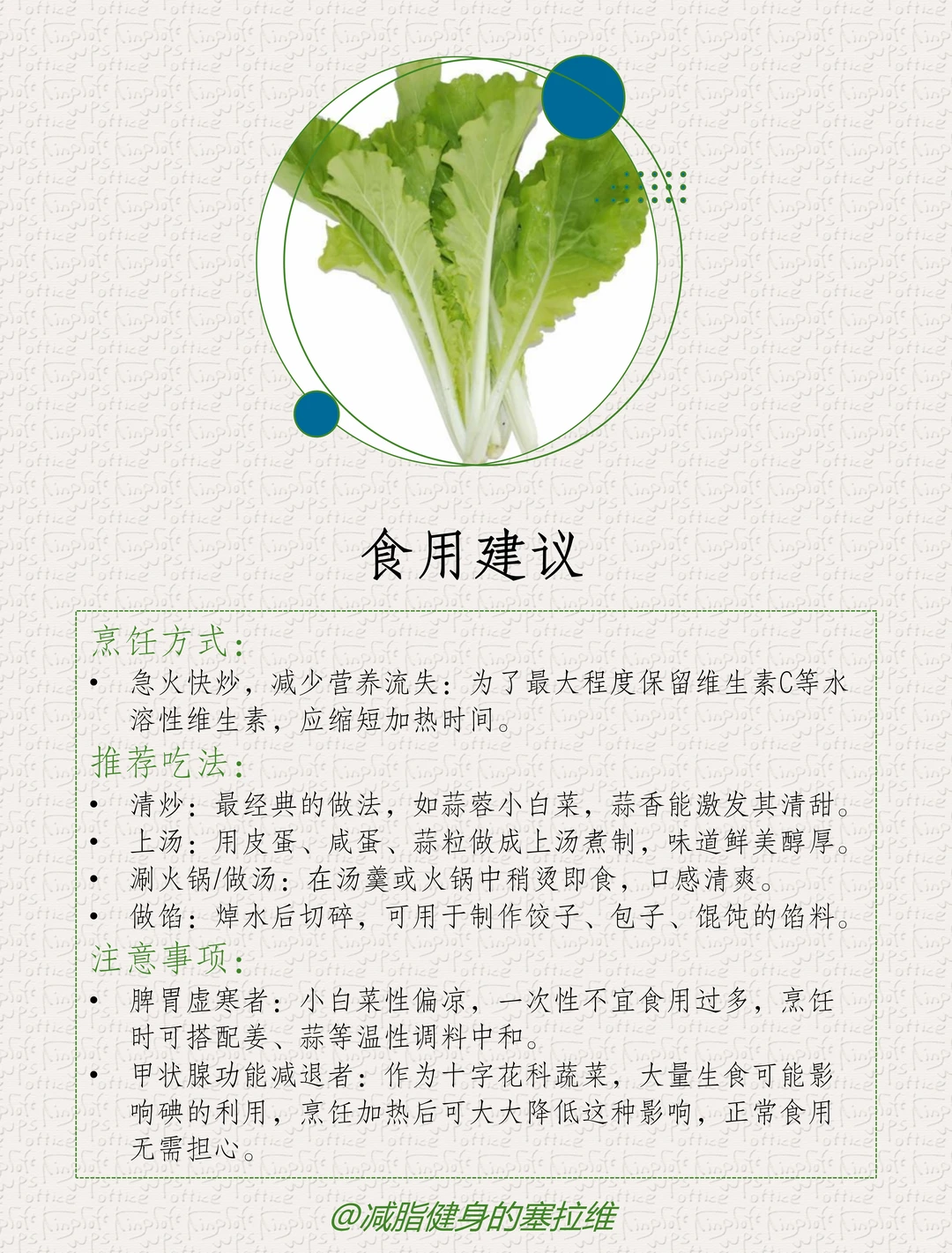 小白菜的营养价值