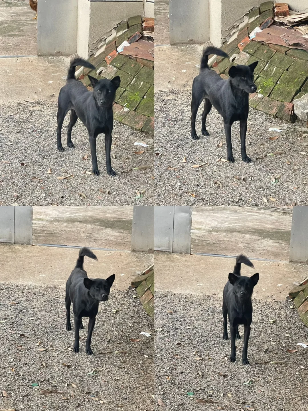 ?小潮人下乡记? Day3～