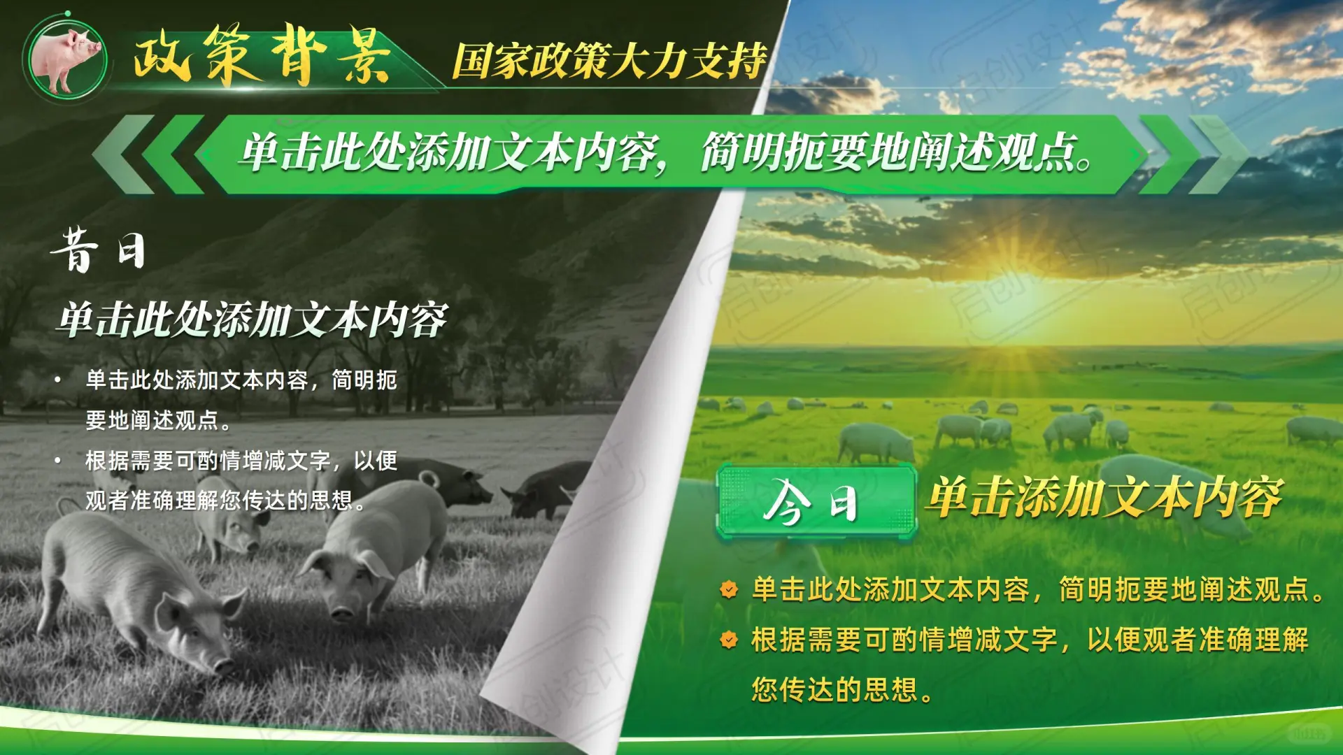 【慧牧育猪】绿色科技养殖畜牧业PPT模板