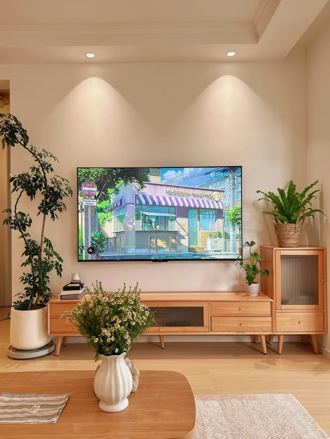 原木风小家入住一年，分享家里的一些植物