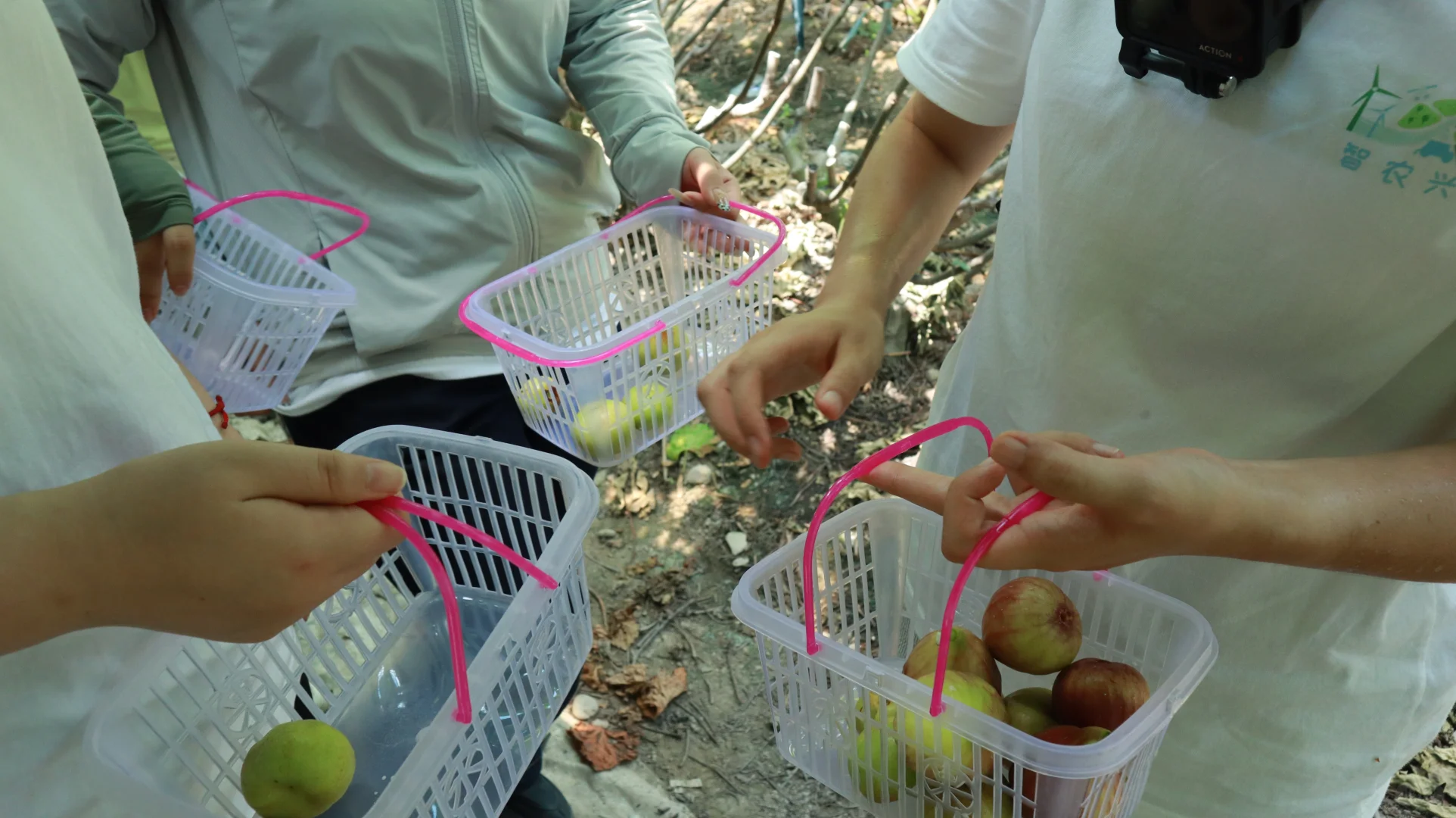 从甬江到衢江：一场跨越浙东浙西的智慧农业