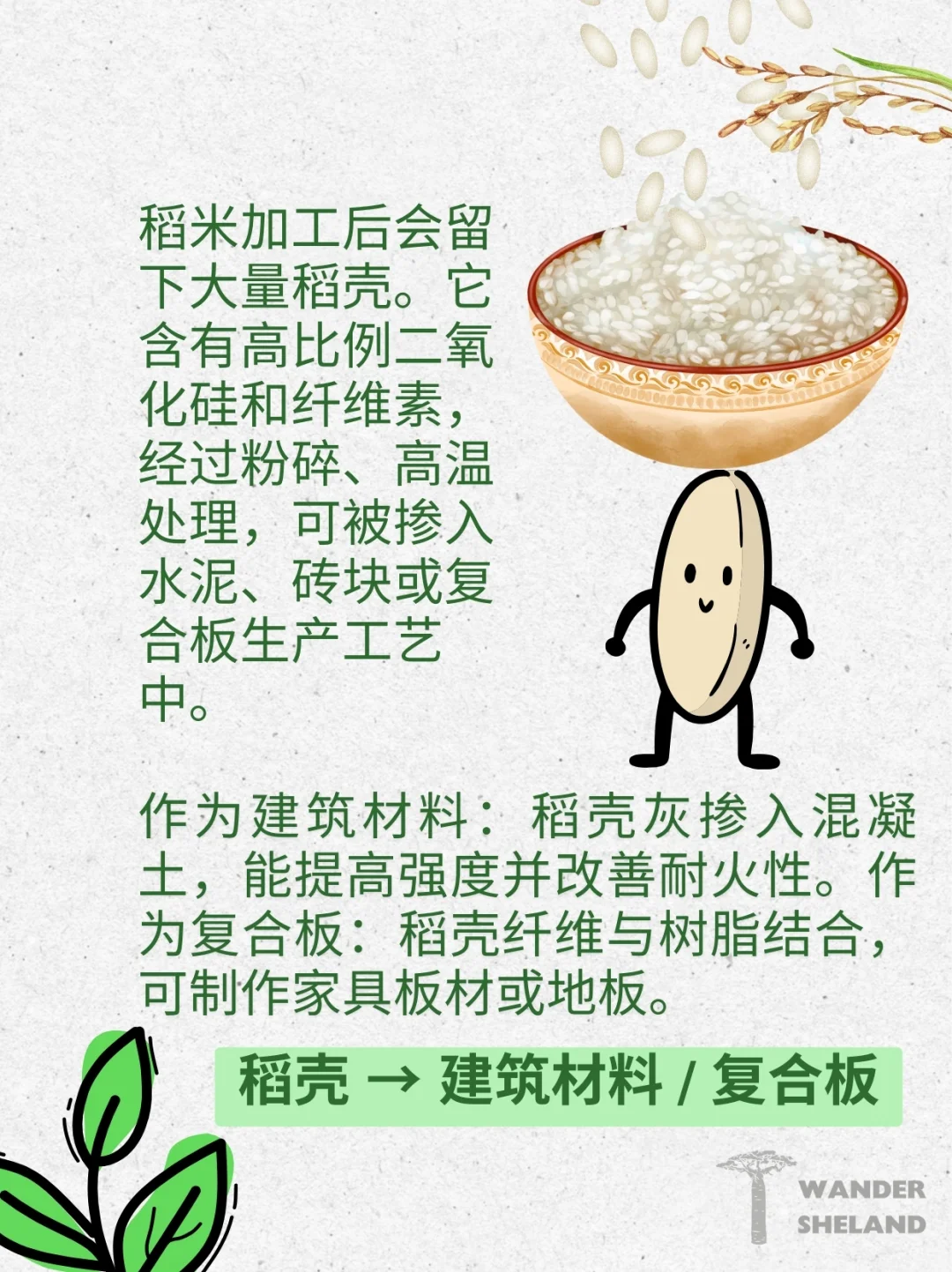可持续指南｜废弃食材变身新材料 ?