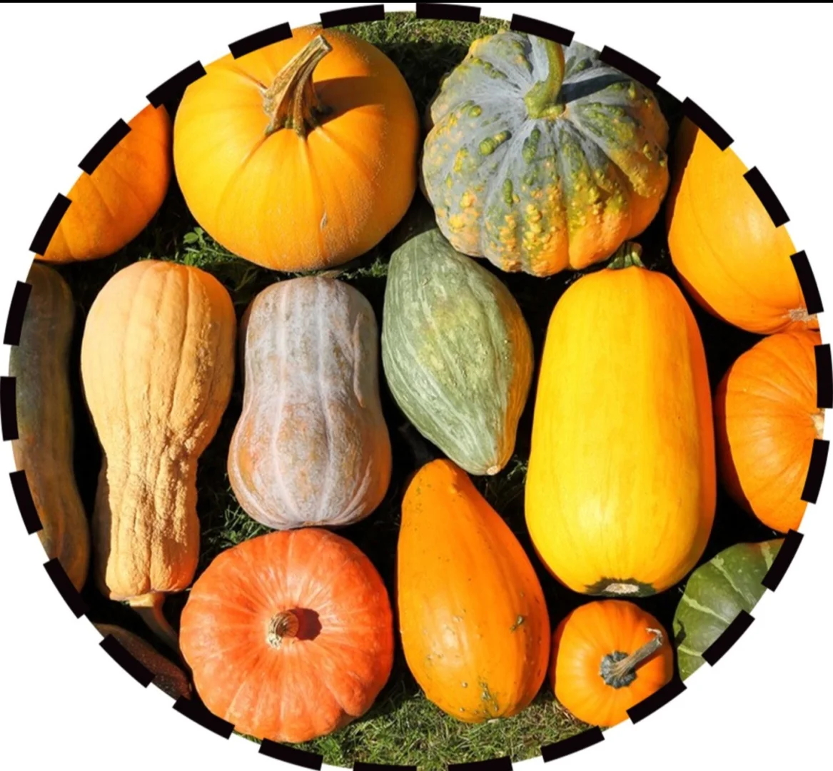 ?幼儿园秋天主题环创，?可直接打印！