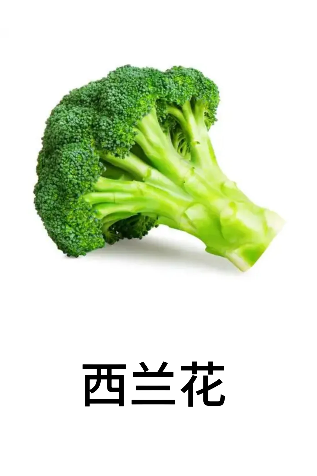 基础认知-蔬菜篇