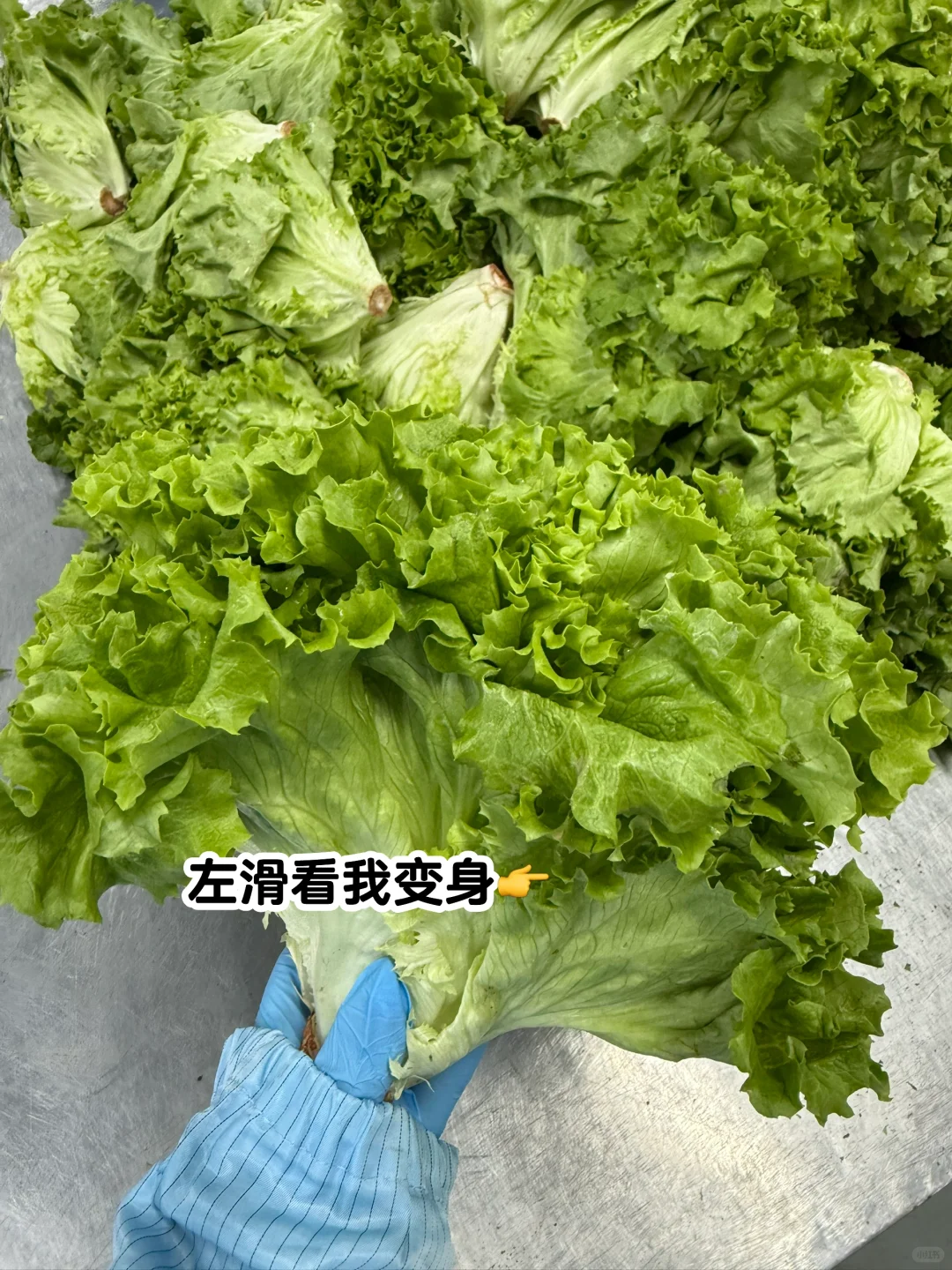 说真的！这是我见过浪费最严重的工厂…