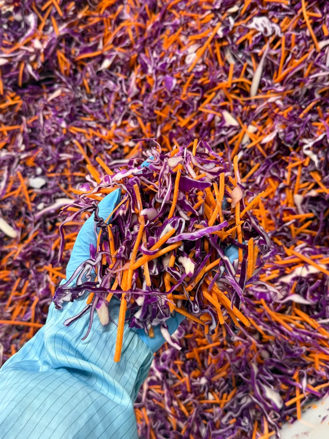 说真的！这是我见过浪费最严重的工厂…