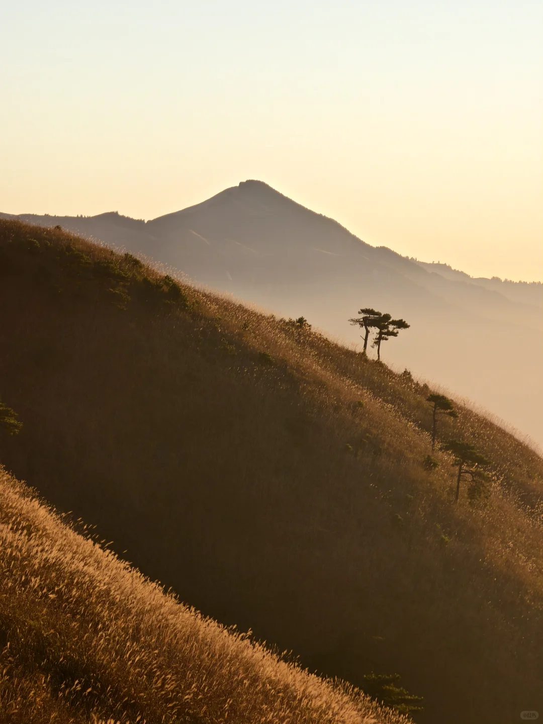 ?武功山反穿攻略｜2天1夜暴走31km 捡垃圾
