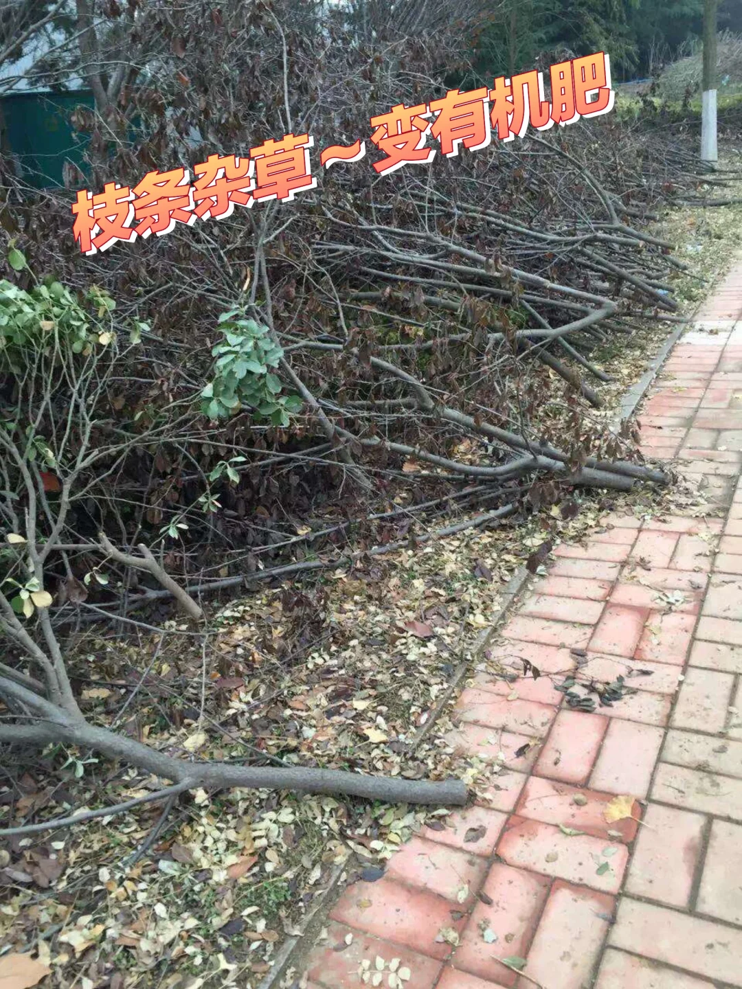 冬季修剪枝条粉碎后用途-自制有机肥