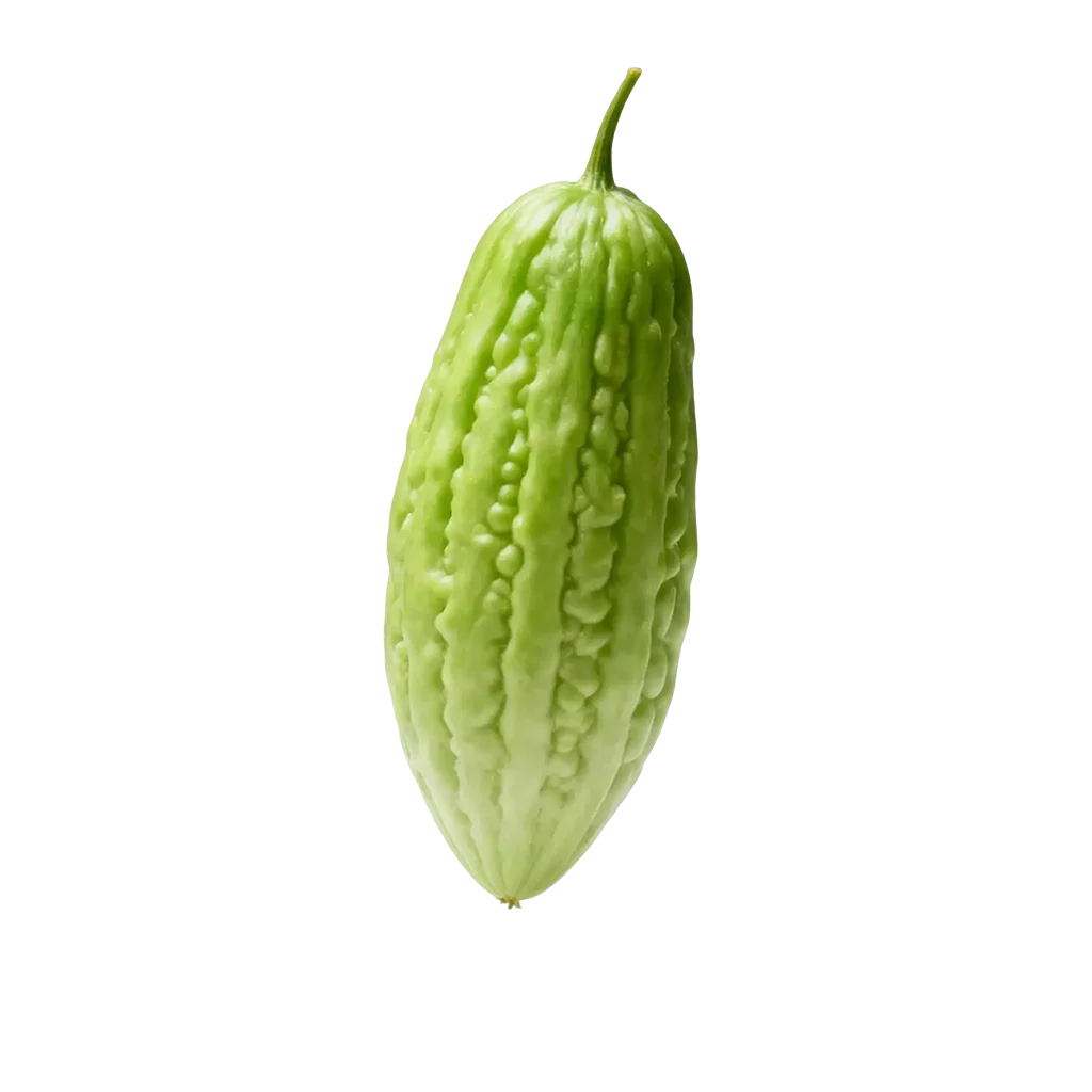 瓜类蔬菜图标，有没有出现过在你的餐桌上嘞