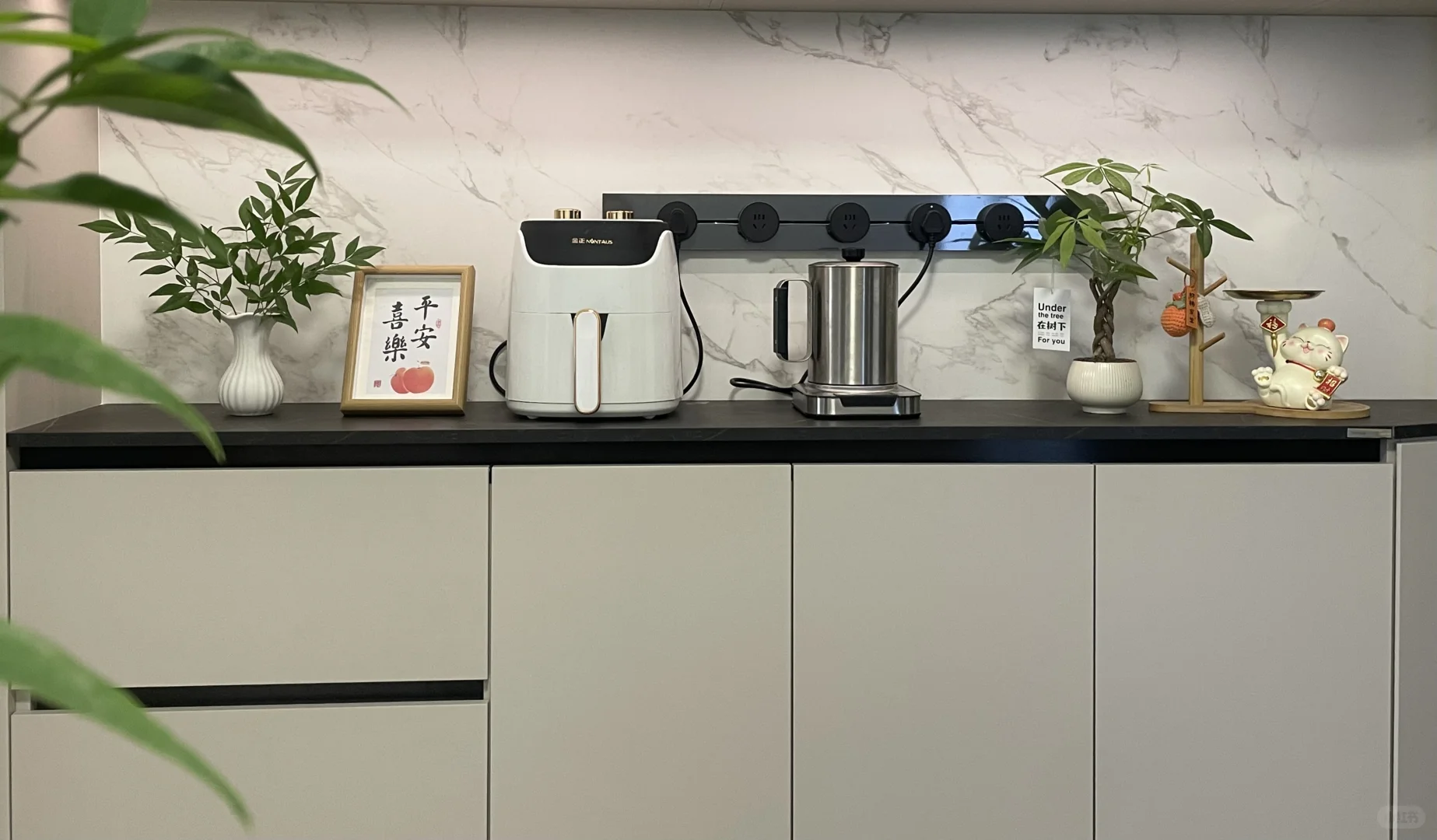 发财树的治愈力谁懂啊！