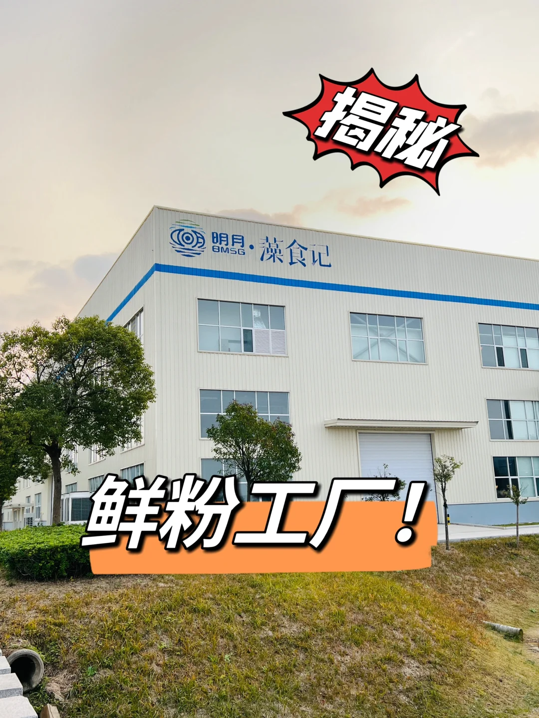 优秀的鲜粉工厂‼️