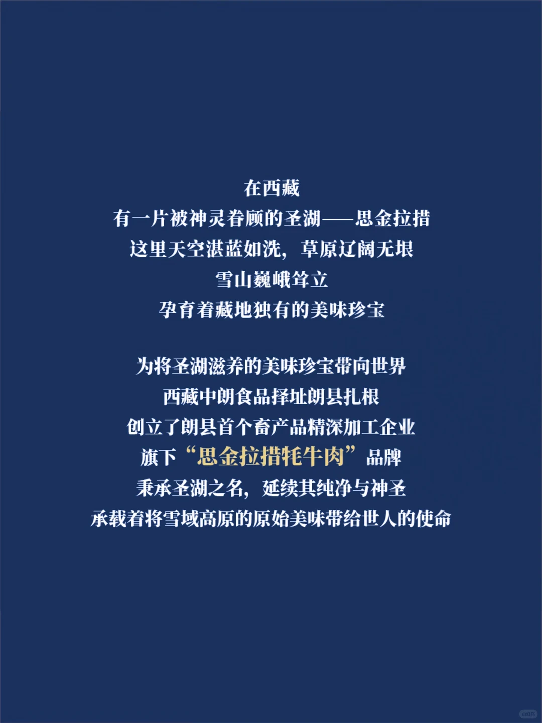 思金拉措牦牛肉 | 把藏地风味带进千家万户！