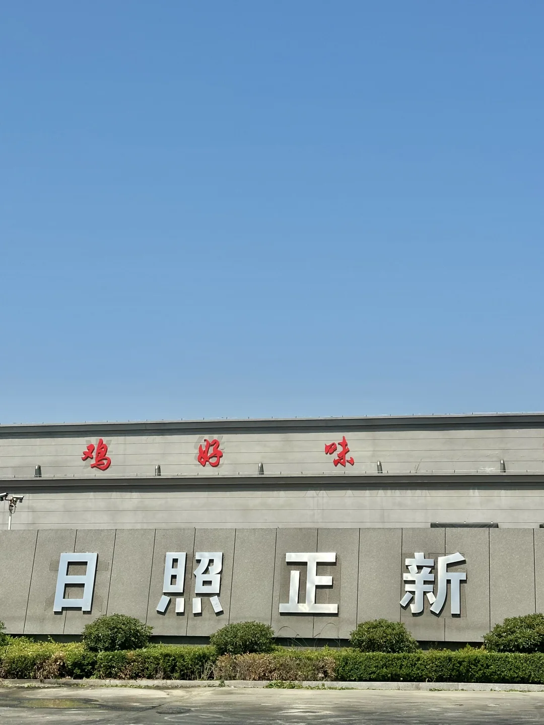 在正新鸡排工厂当卧底的一天...