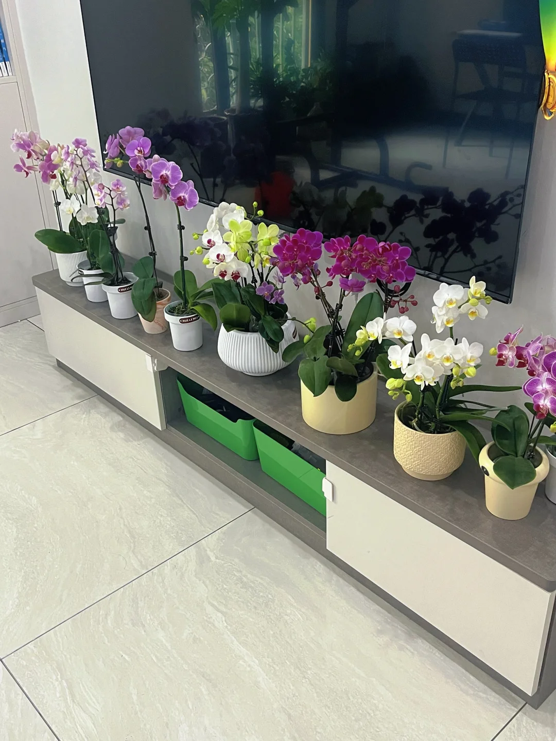 奉劝大家入坑需谨慎?