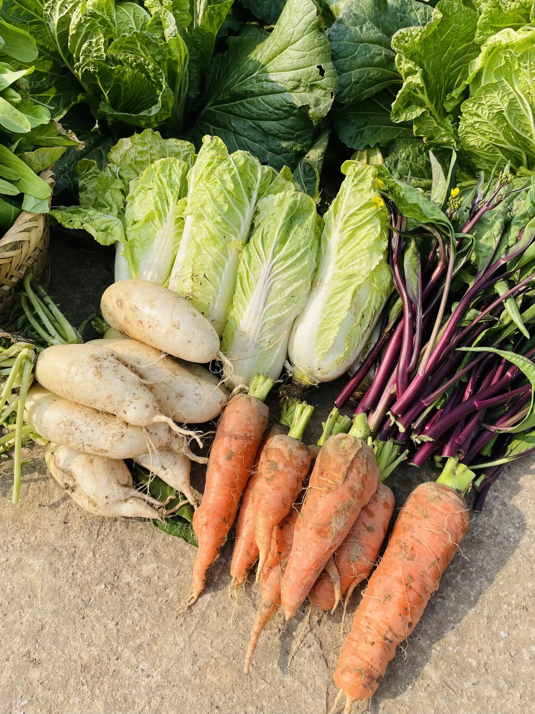 要吃就是绿色健康农家菜?