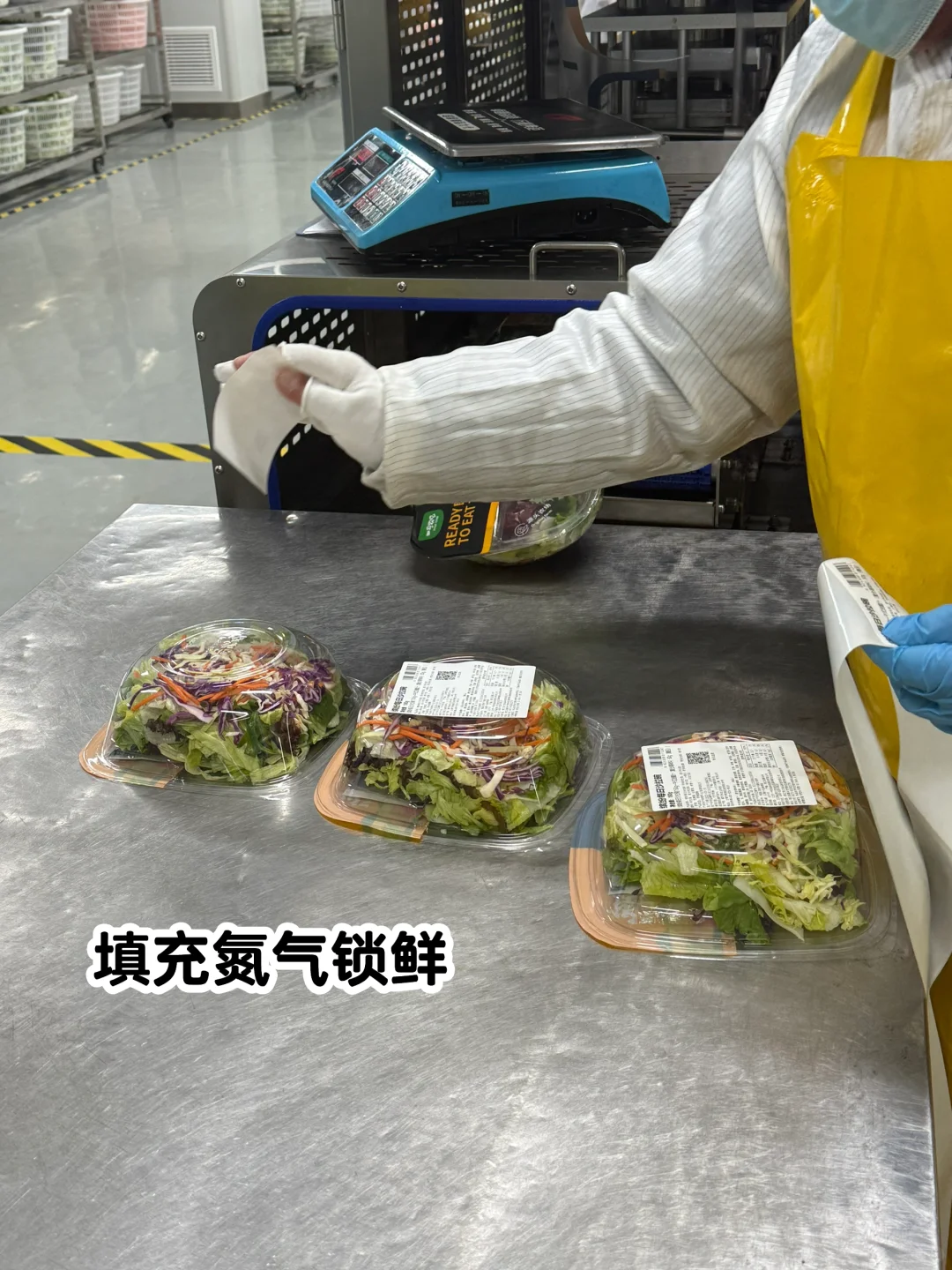 说真的！这是我见过浪费最严重的工厂…