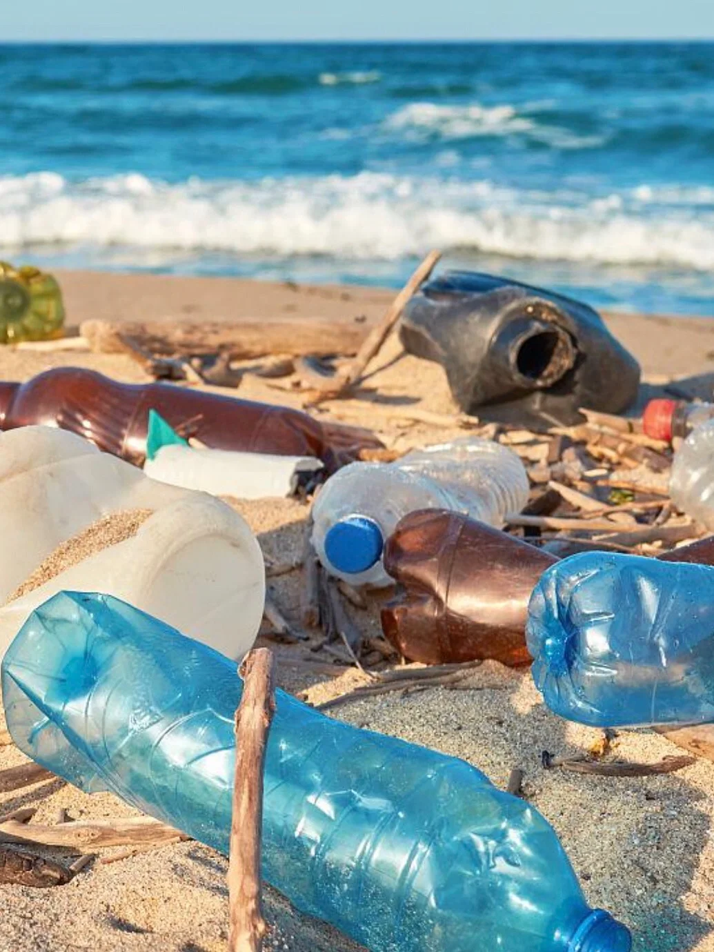 青松点可持续之旅｜用塑料瓶给你做个袋子吧