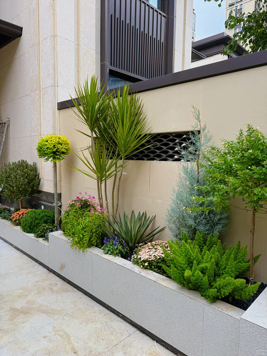 好多姐妹问的绿植详细版来啦?