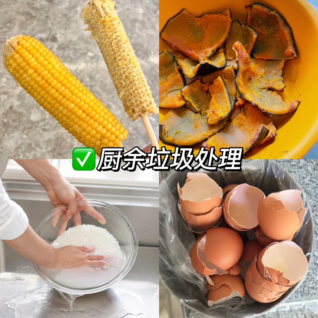 ♻️可持续生活｜厨余垃圾处理