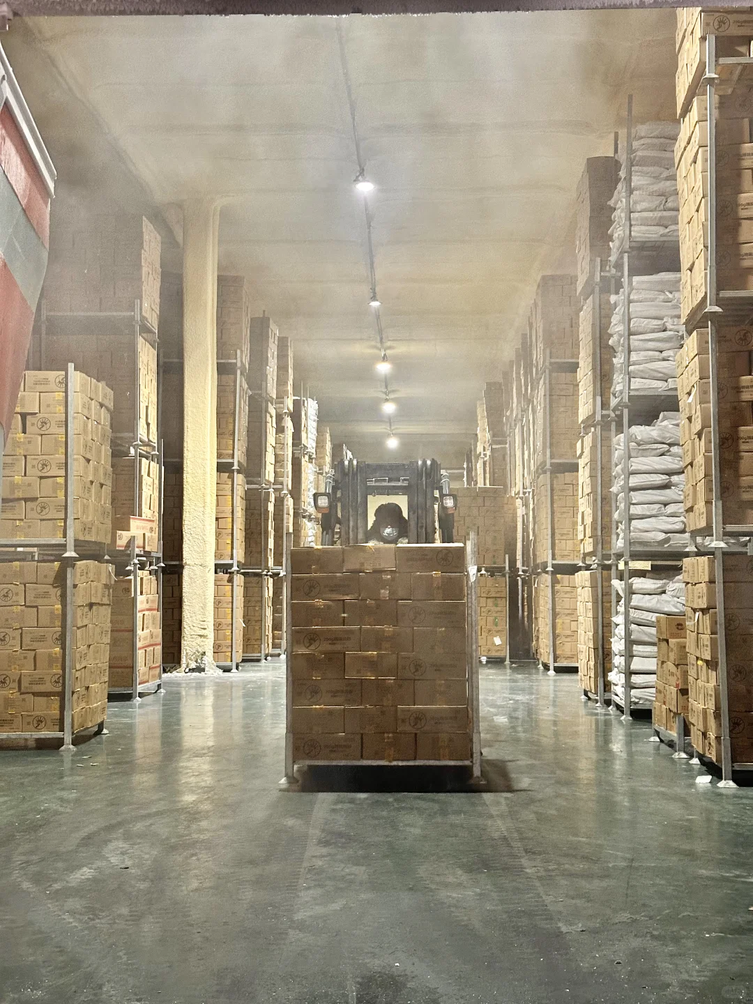 在正新鸡排工厂当卧底的一天...