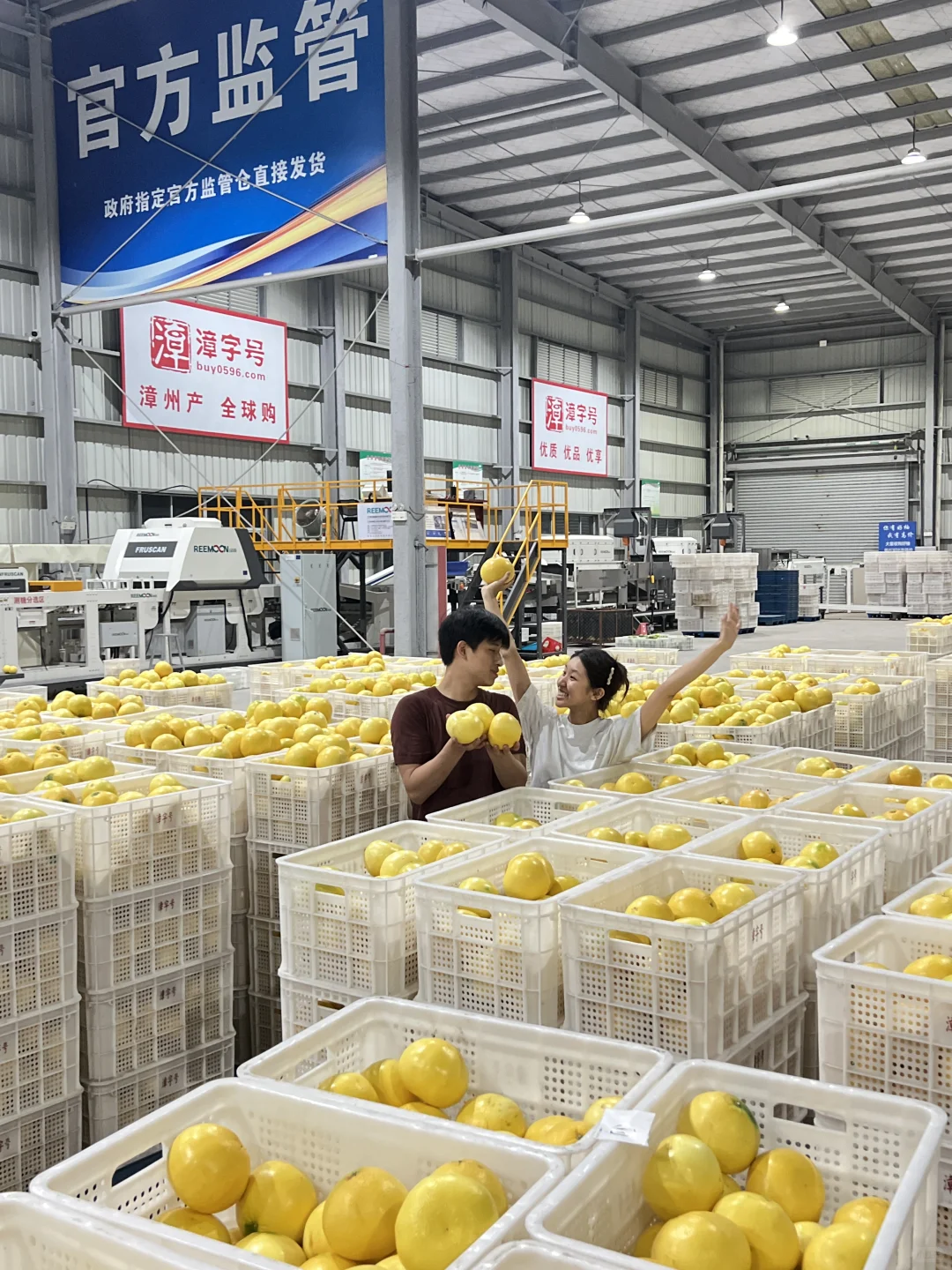 俺在5000多平的柚子厂打工