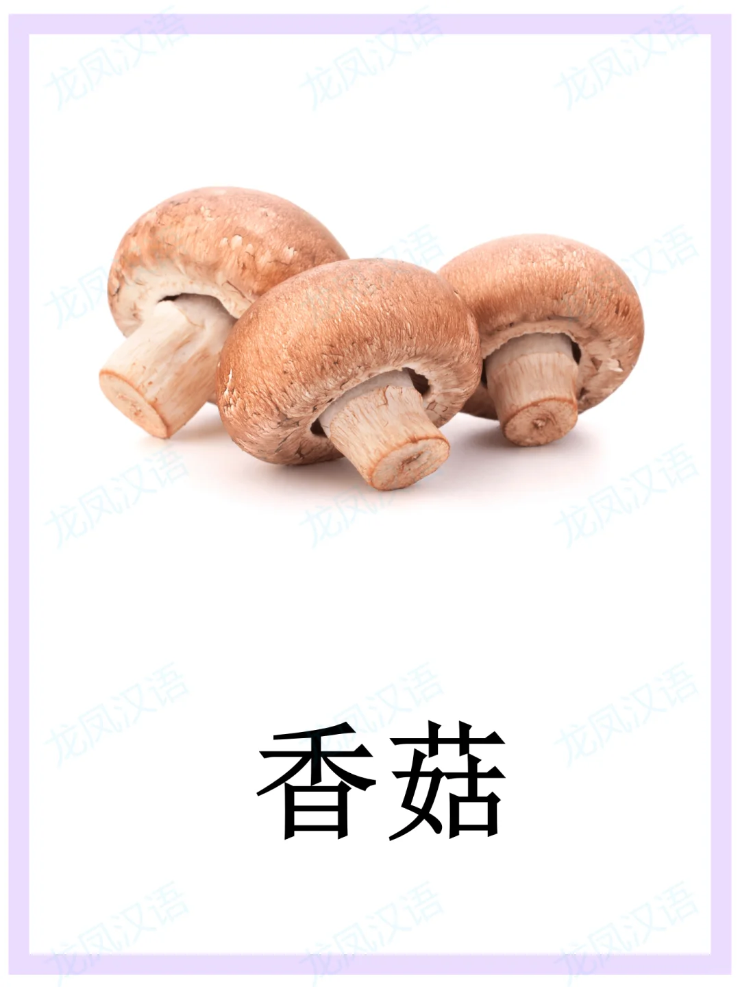 蔬菜闪卡//华裔学中文