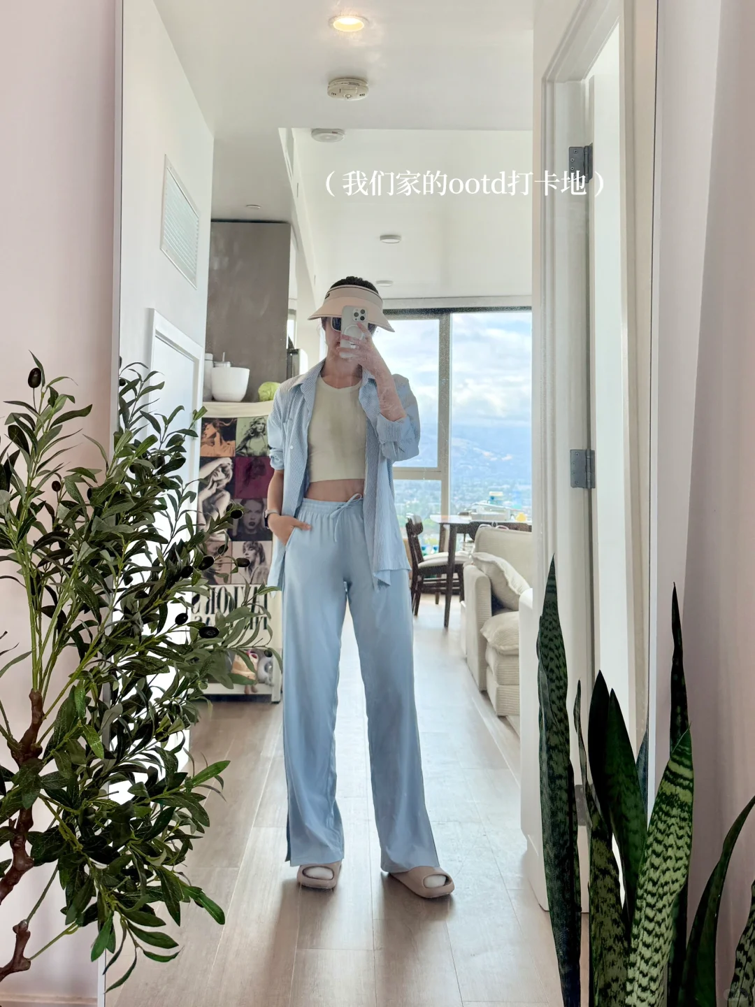 懒人轻松养??氛围感能量绿植分享