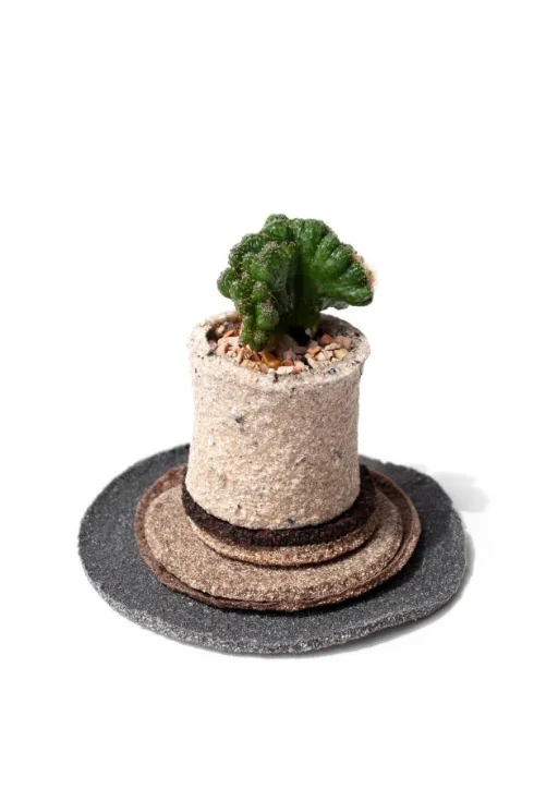 食物残渣的重生