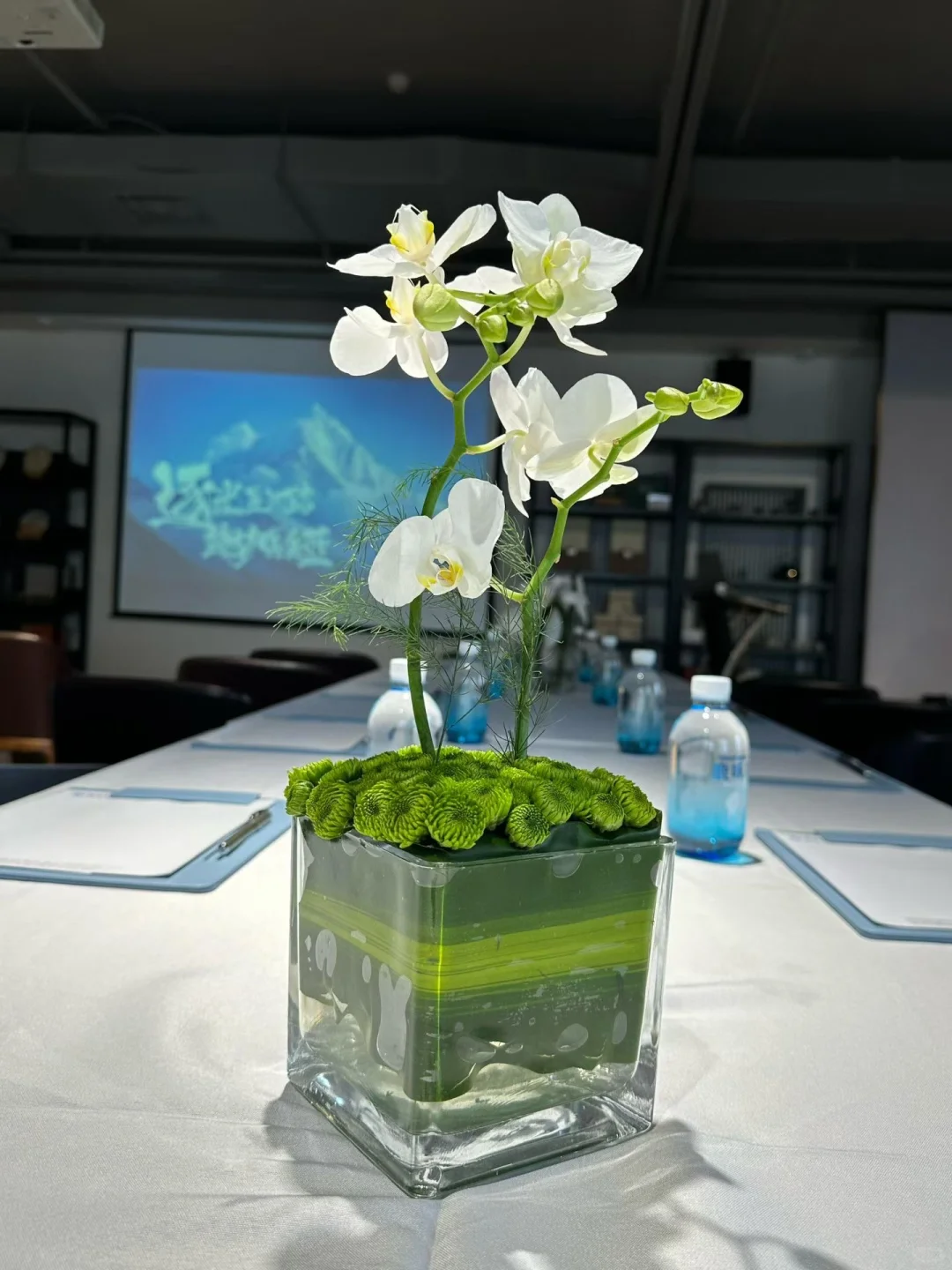 遇见美好的，一定不要错过