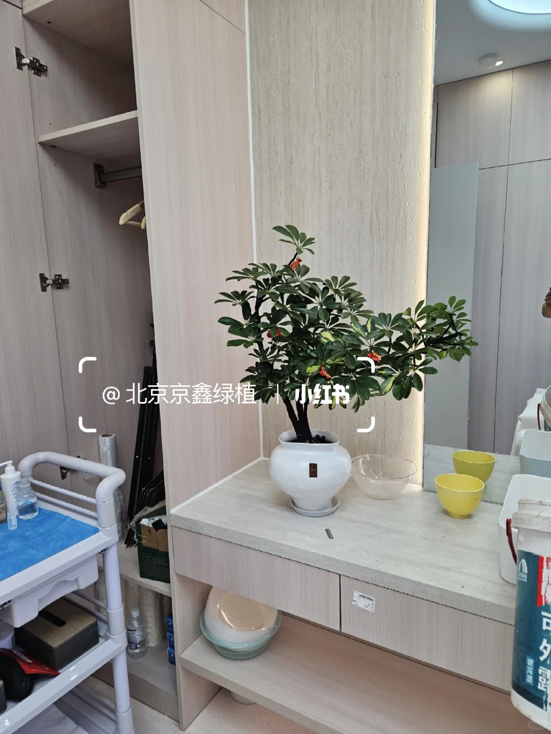 ?北京绿植租赁，绿植造景，绿植租摆