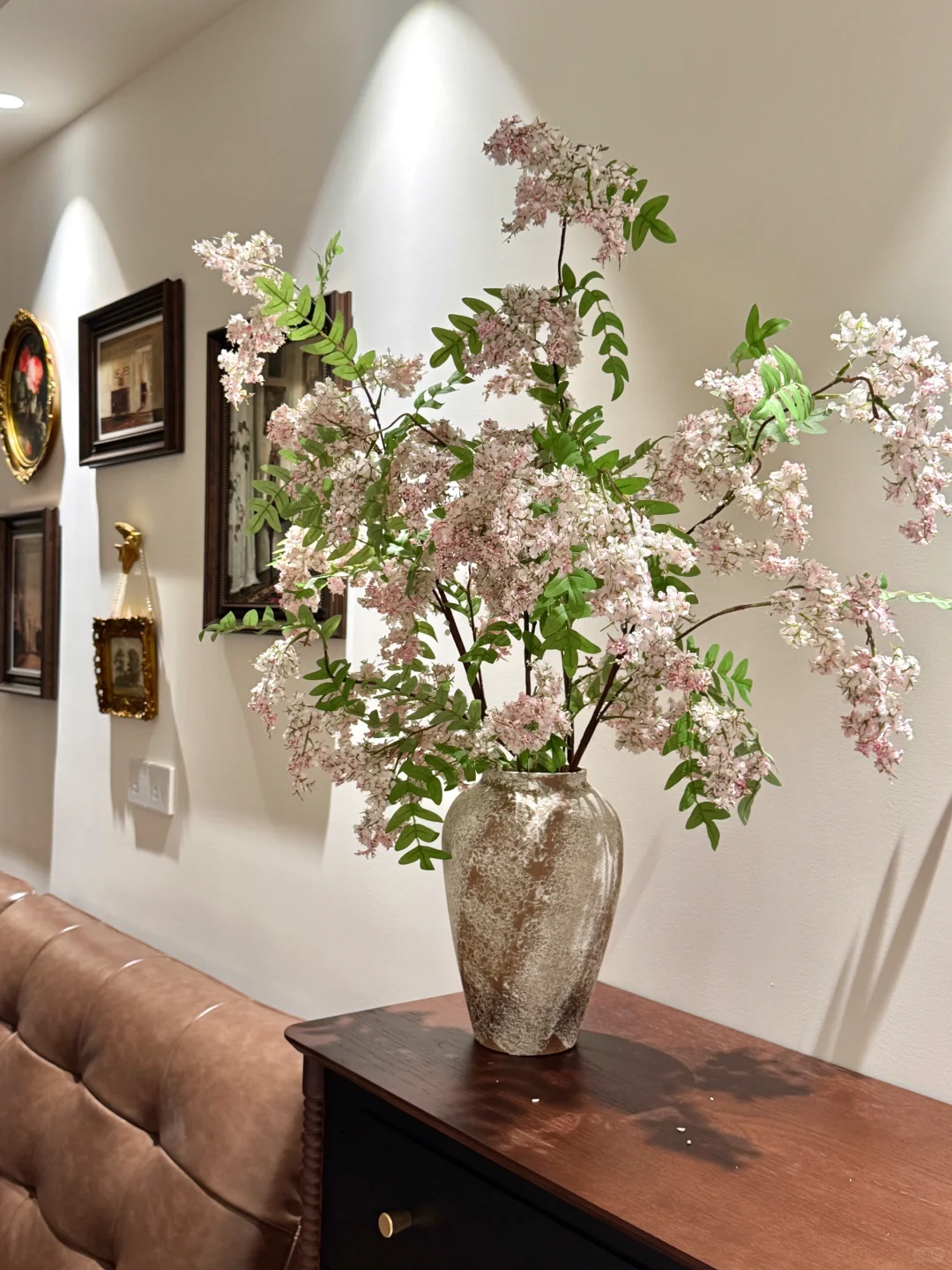 懒人福音?养不死的绿植｜氛围感的神！