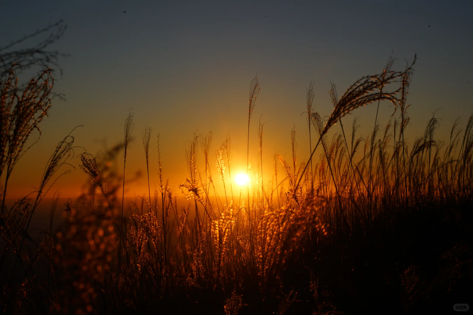 ?武功山反穿攻略｜2天1夜暴走31km 捡垃圾