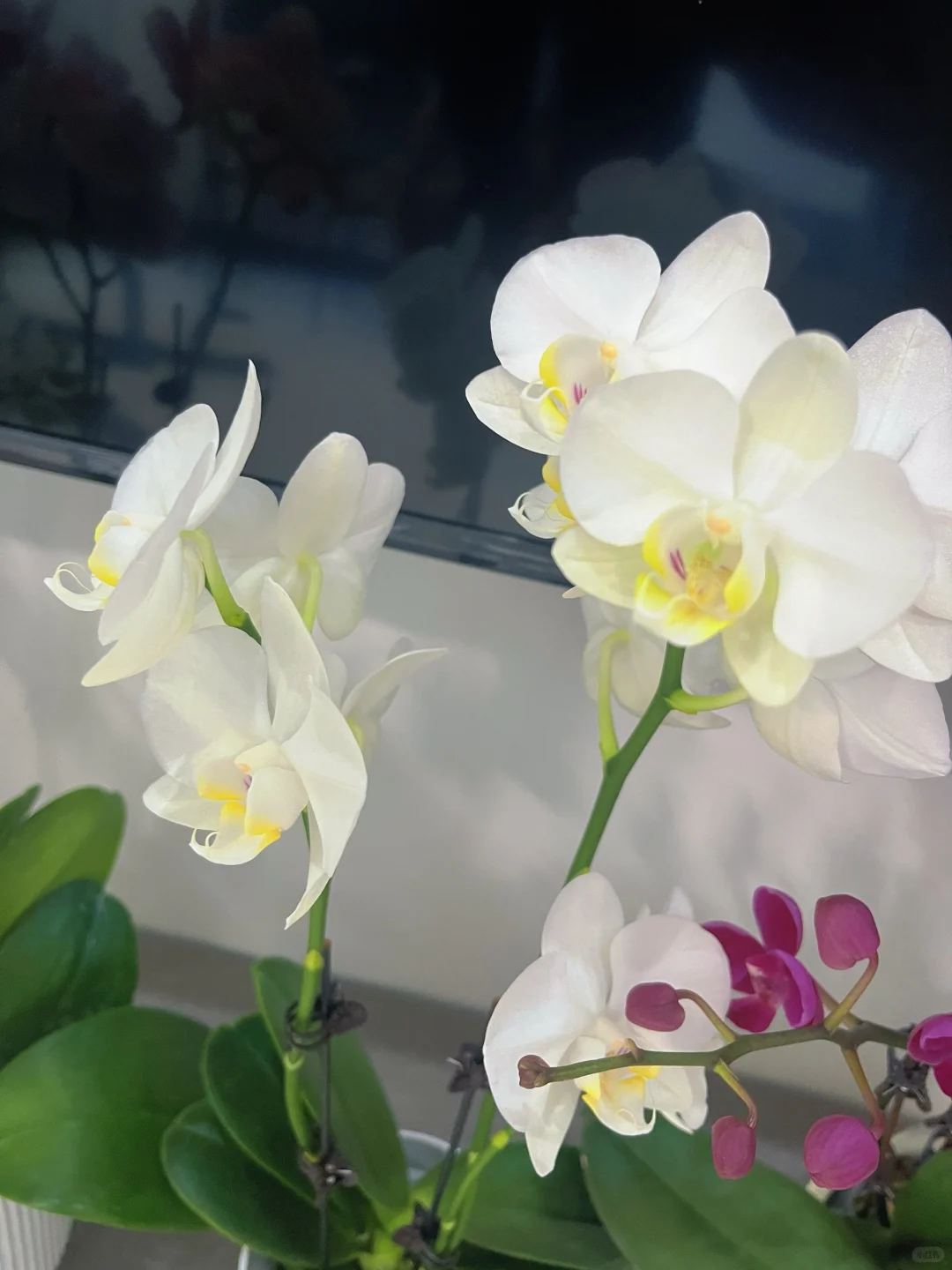 奉劝大家入坑需谨慎?