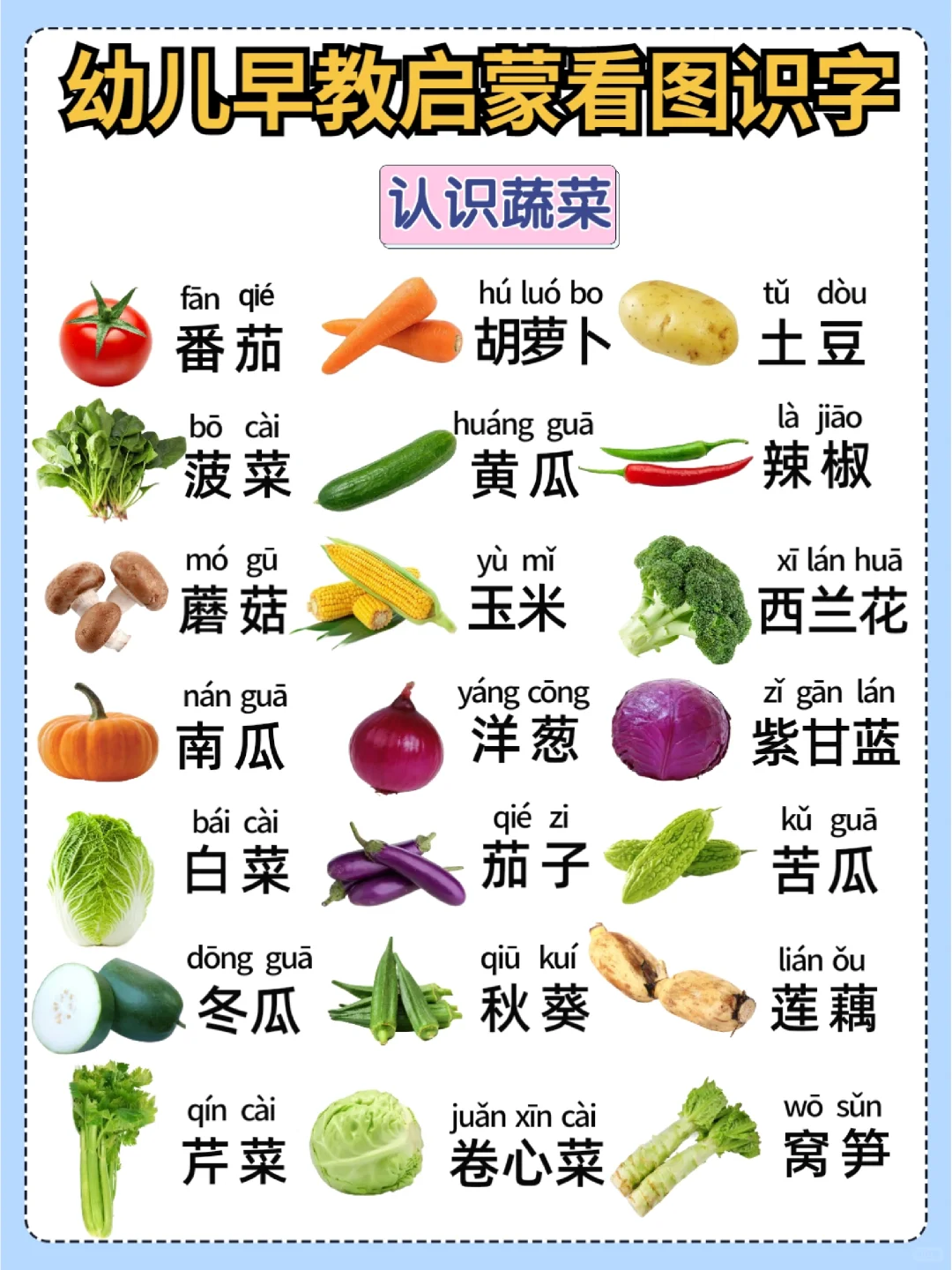 幼儿早教启蒙看图识字 家长教宝宝认字必备