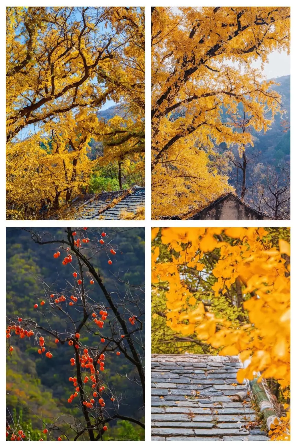 11.8[周六]【京门铁路-广化寺-琉璃渠】户外