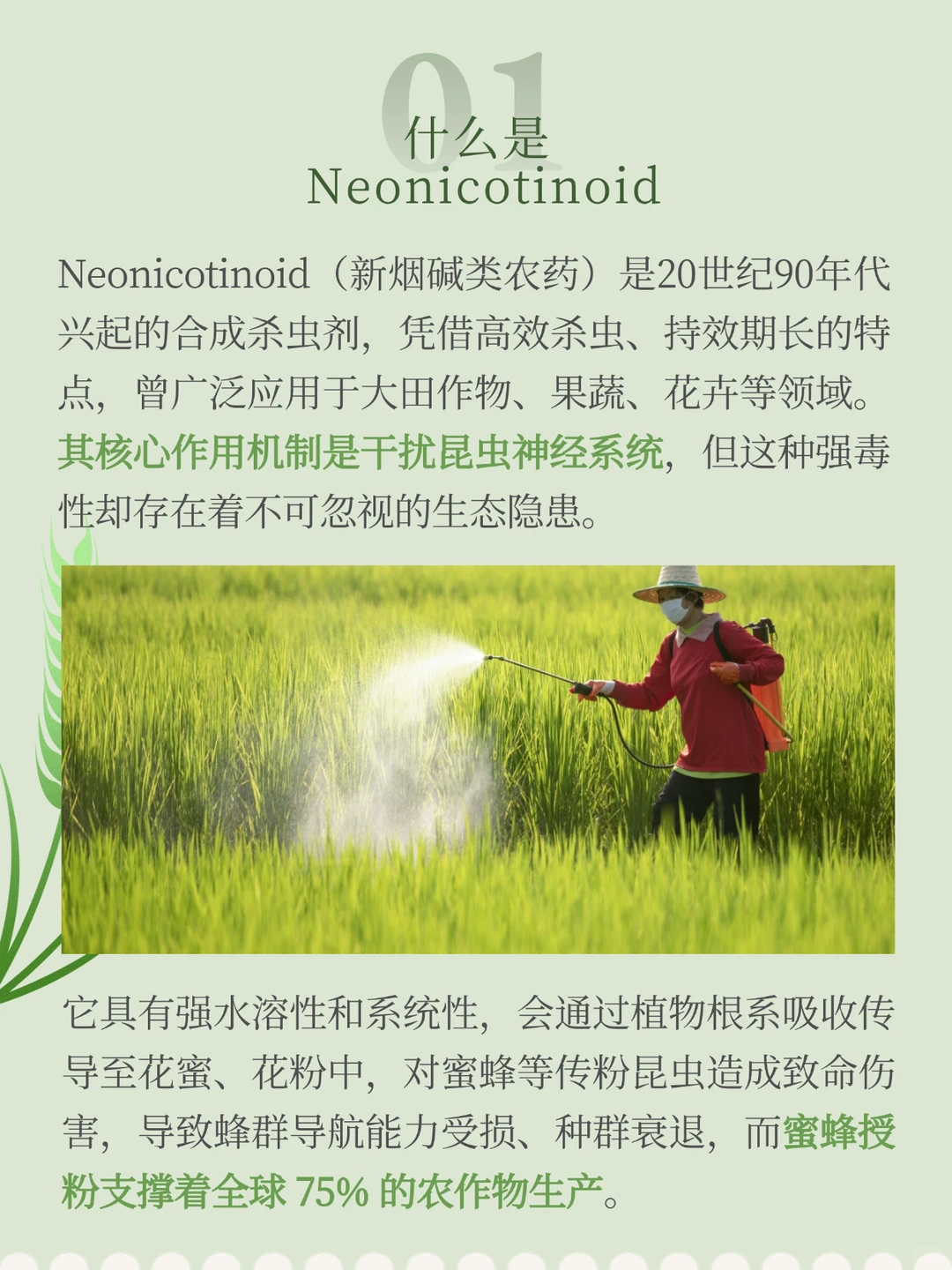 Neonicotinoid FREE，农业绿色安全密码