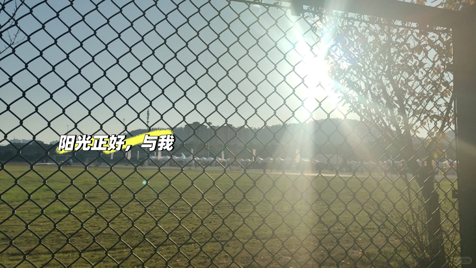 中南国际文化节