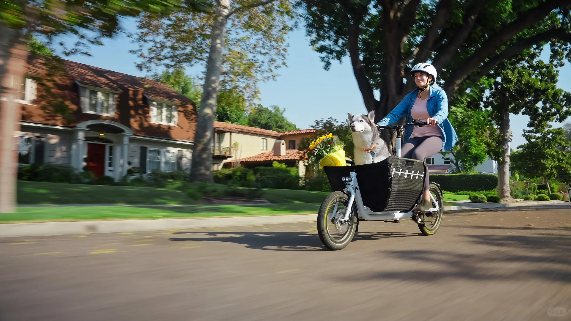 CargoBike-过去 现在 未来