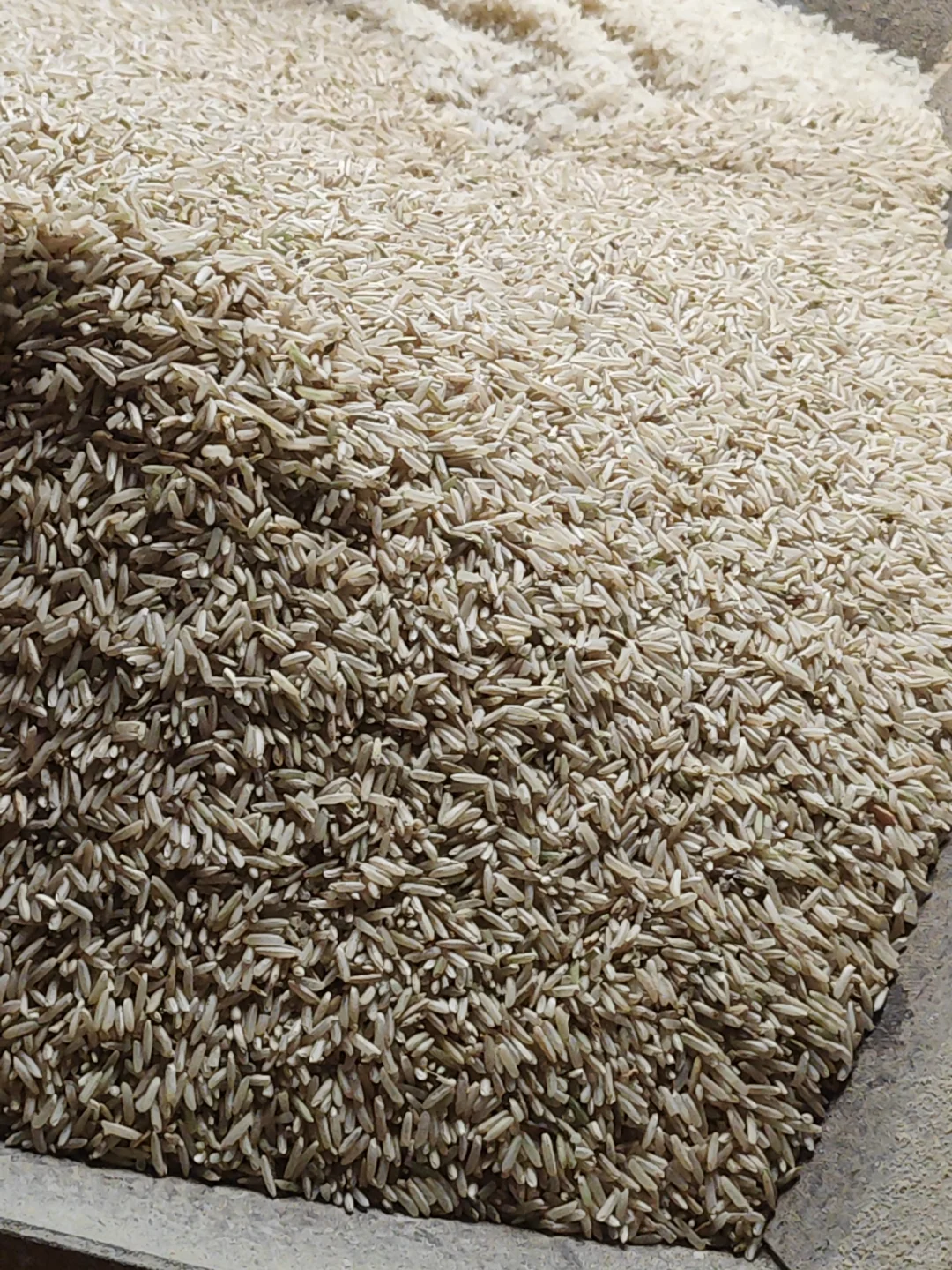 自家田间种的大米，无污染，纯绿色，不抛光