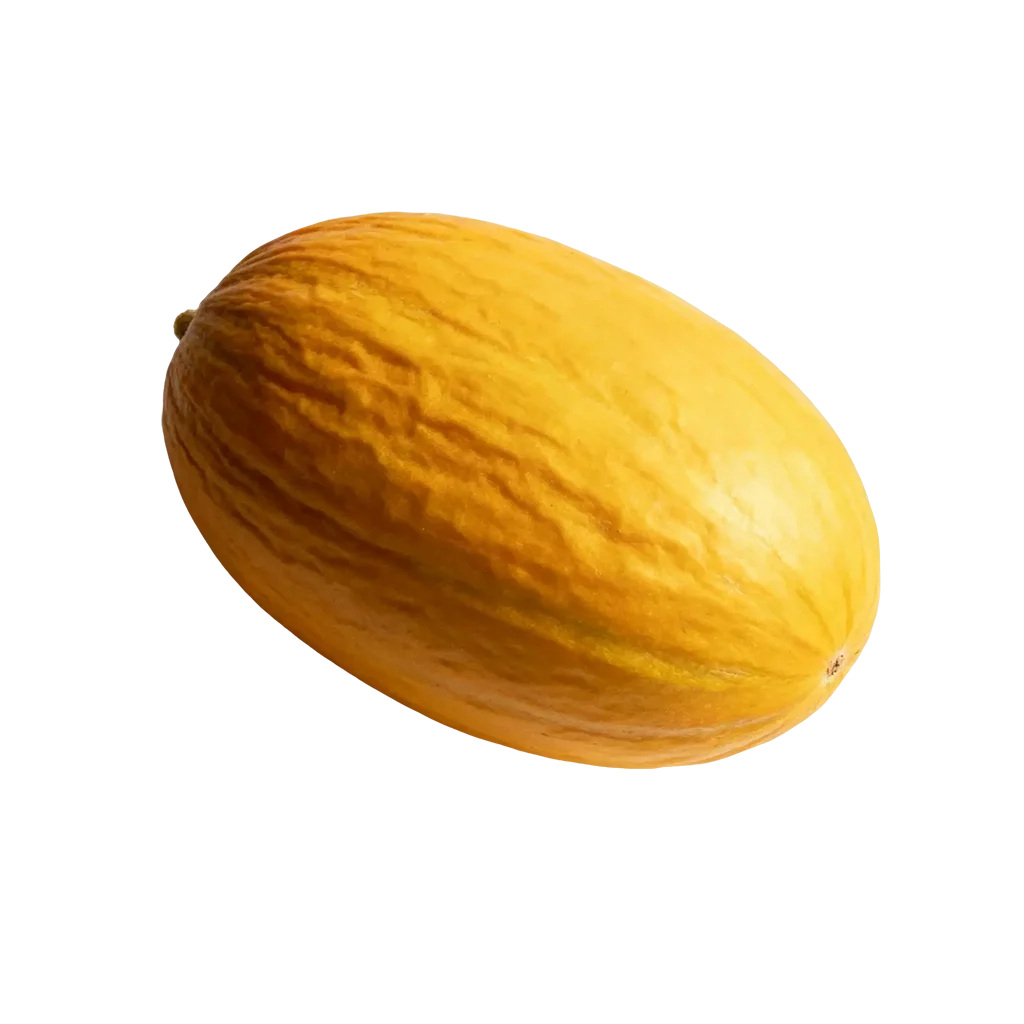 瓜类蔬菜图标，有没有出现过在你的餐桌上嘞