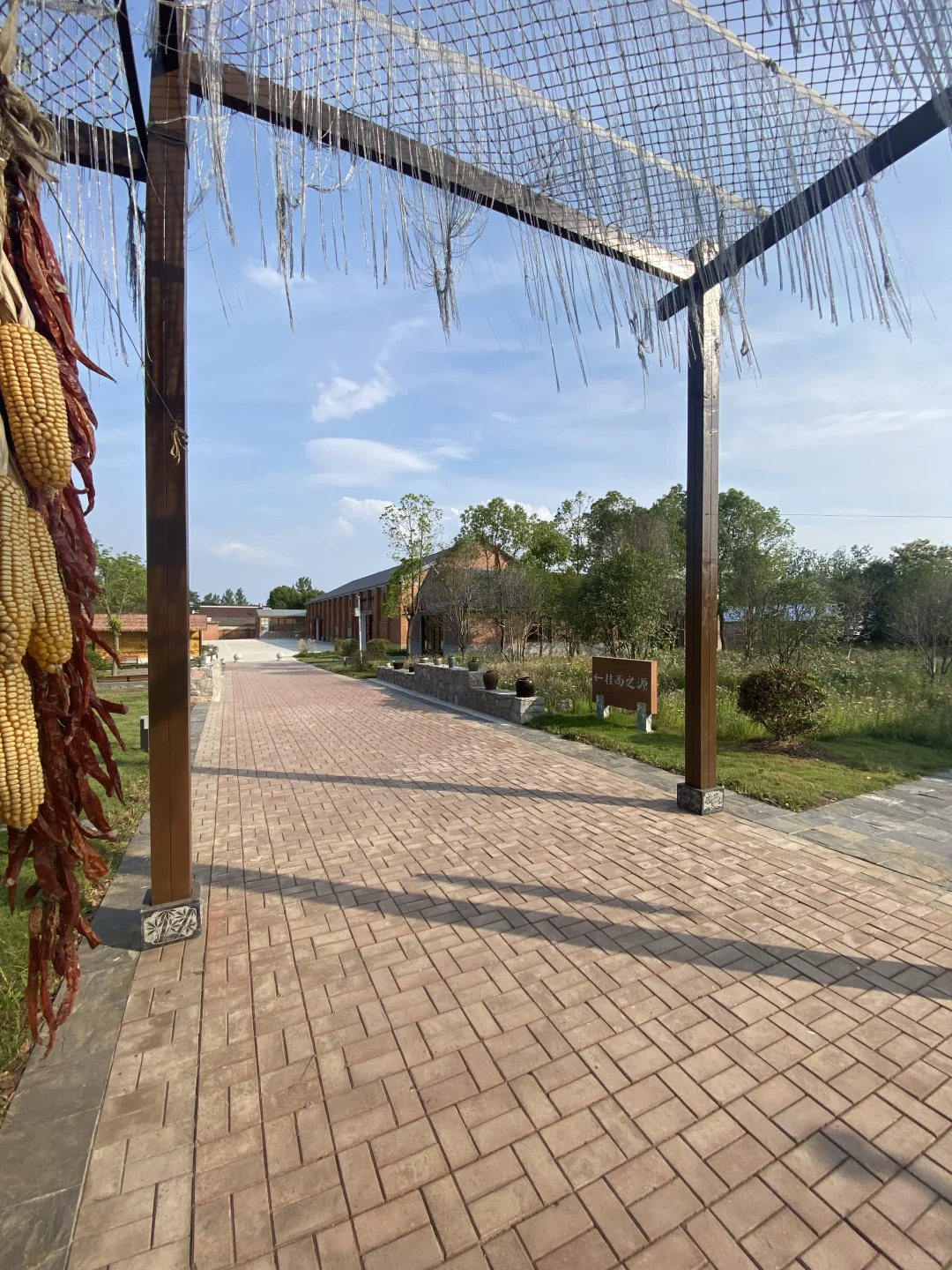 超级干净的挂面工厂！???