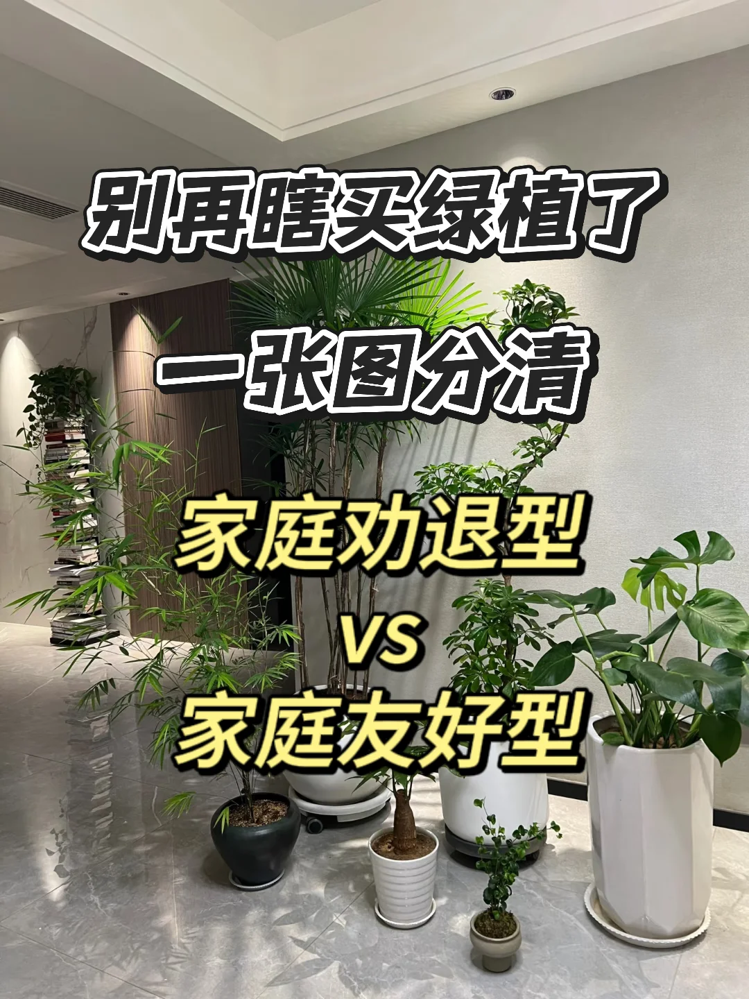 血泪教训！家庭绿植选这些才不踩坑?