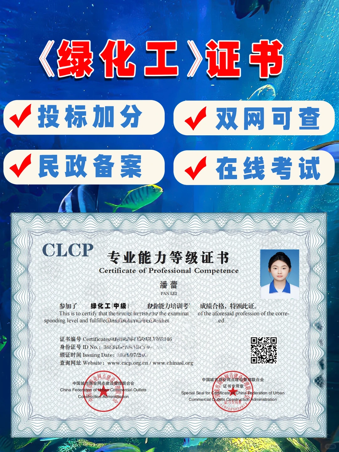 绿化工证书申报服务