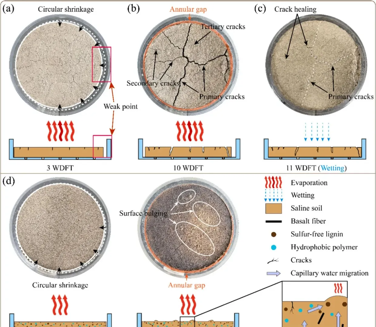 盐渍土开裂难题？复合固化一招破解?