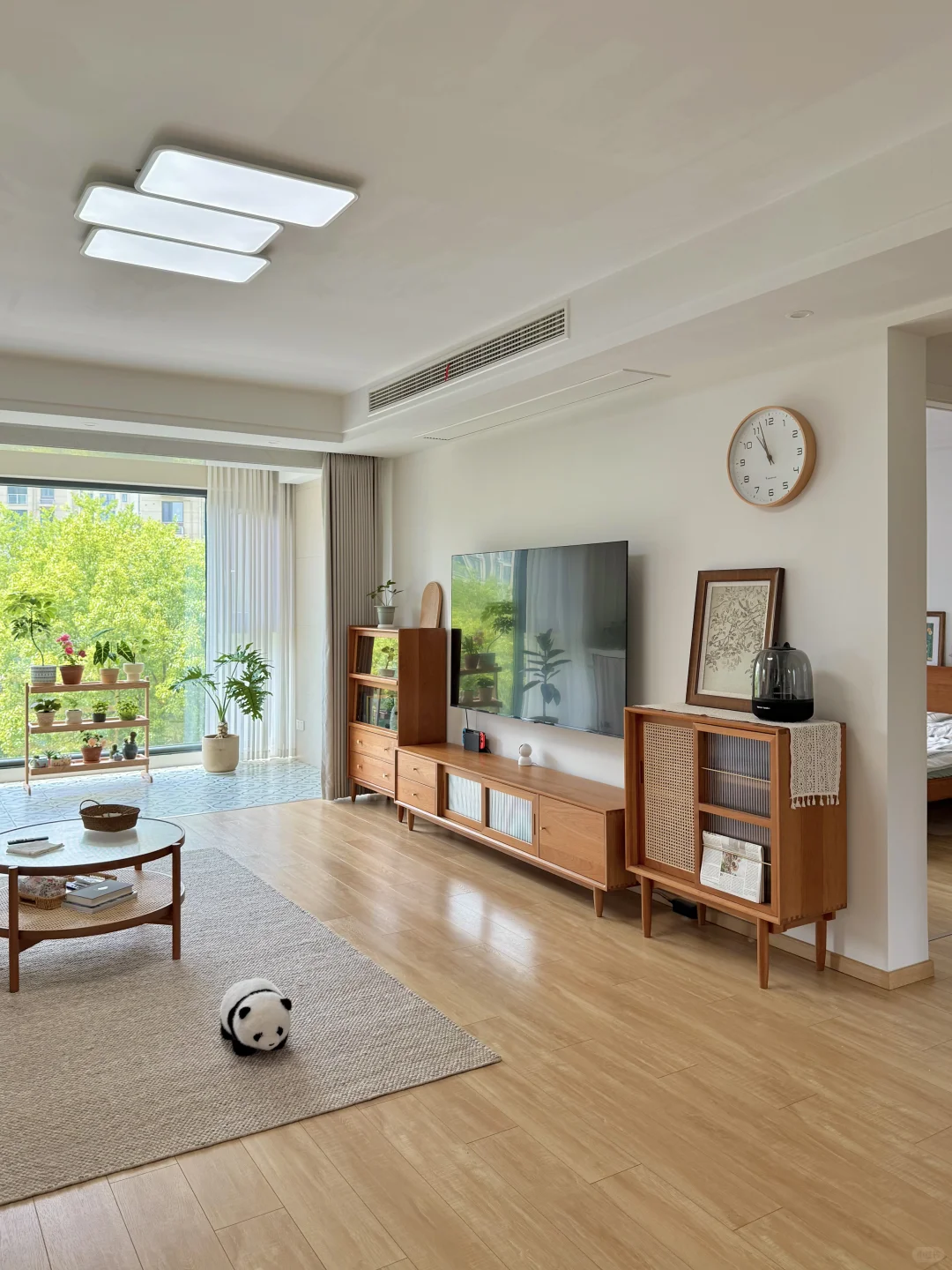 我的小小阳台绿植角初见雏形啦✨