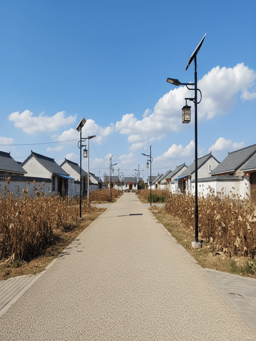 农村太阳能路灯在药材产区碎石路应用