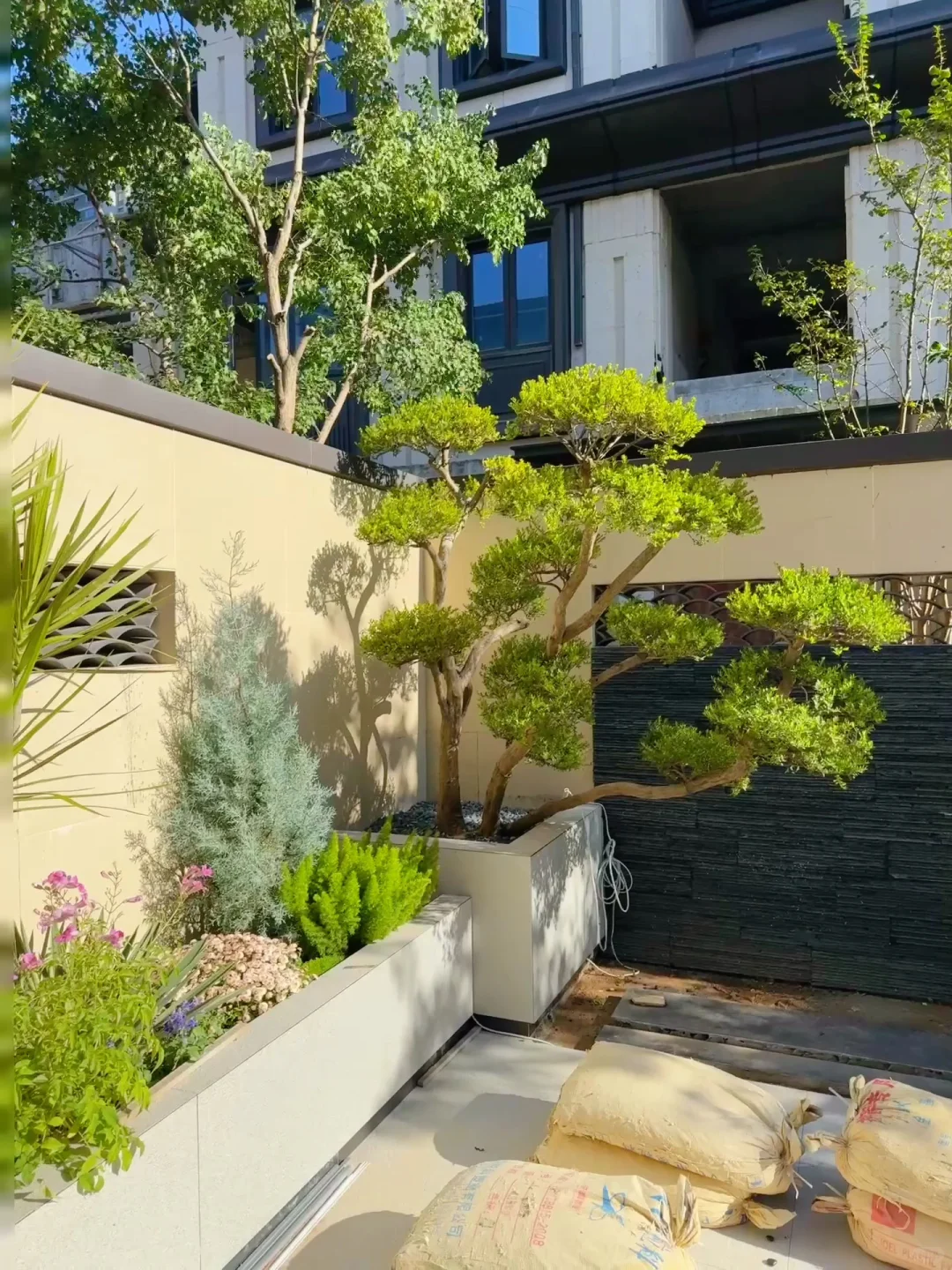 好多姐妹问的绿植详细版来啦?