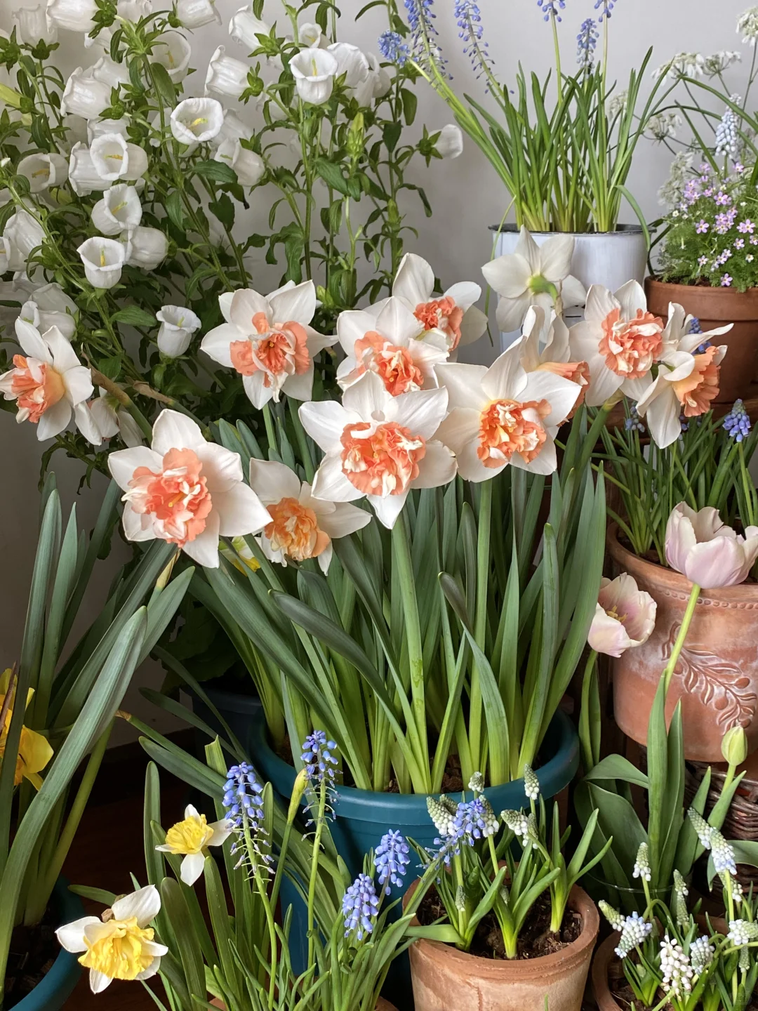 此时此刻我家???