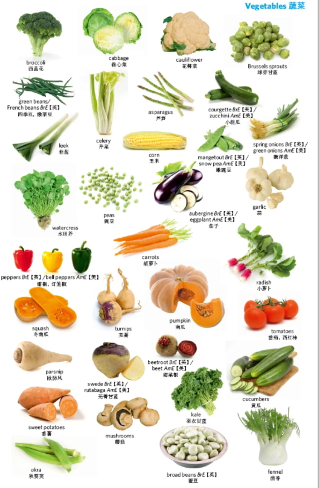 Vegetables